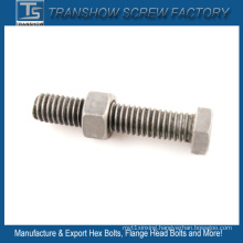 Plain Finished Hex Bolt and Nut